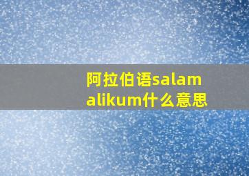 阿拉伯语salam alikum什么意思